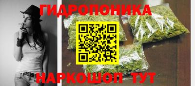 индика Тара