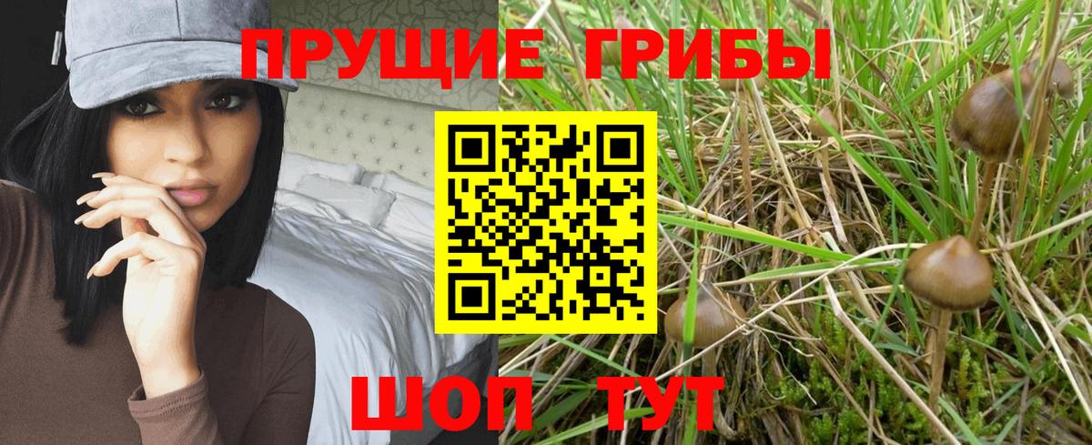 Псилоцибиновые грибы ЛСД Волжский